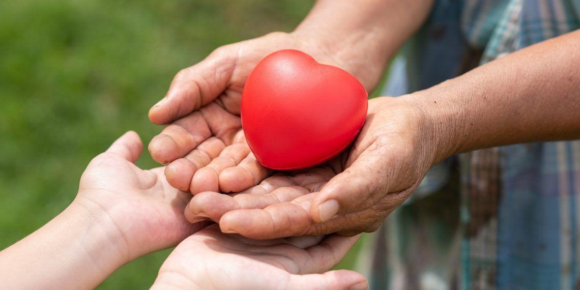 The red rubber heart on hands of elderly and child. Showed the cooperate, love, care, charity of people with differences diversity for sustain develop of farmer, community, society and the environment